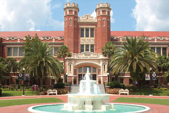 Online MSW Degree Program in California | Florida State University