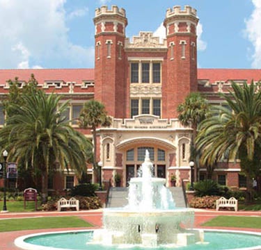florida state university online phd